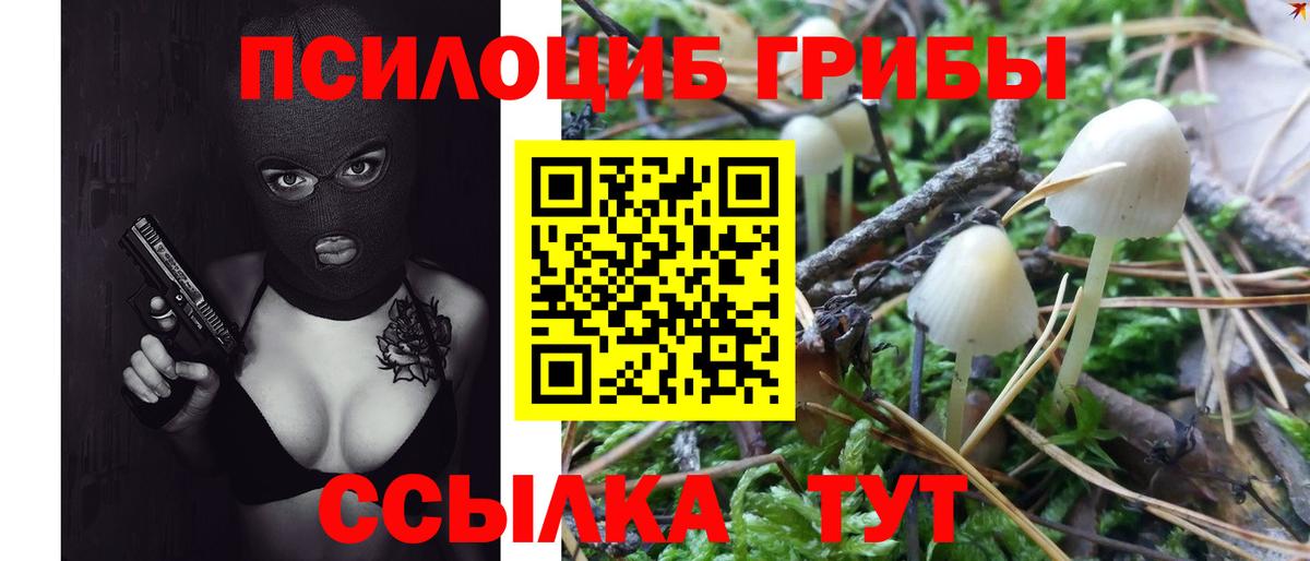 Псилоцибиновые грибы прущие грибы Россошь