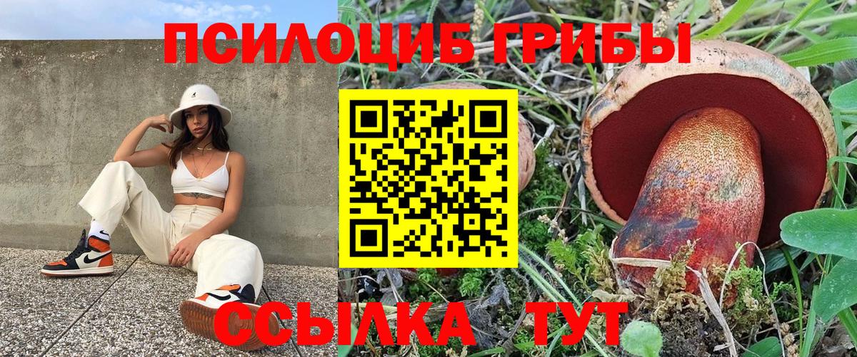 Псилоцибиновые грибы мухоморы  Псилоцибиновые грибы MAGIC MUSHROOMS  Россошь  Вход с VPN 