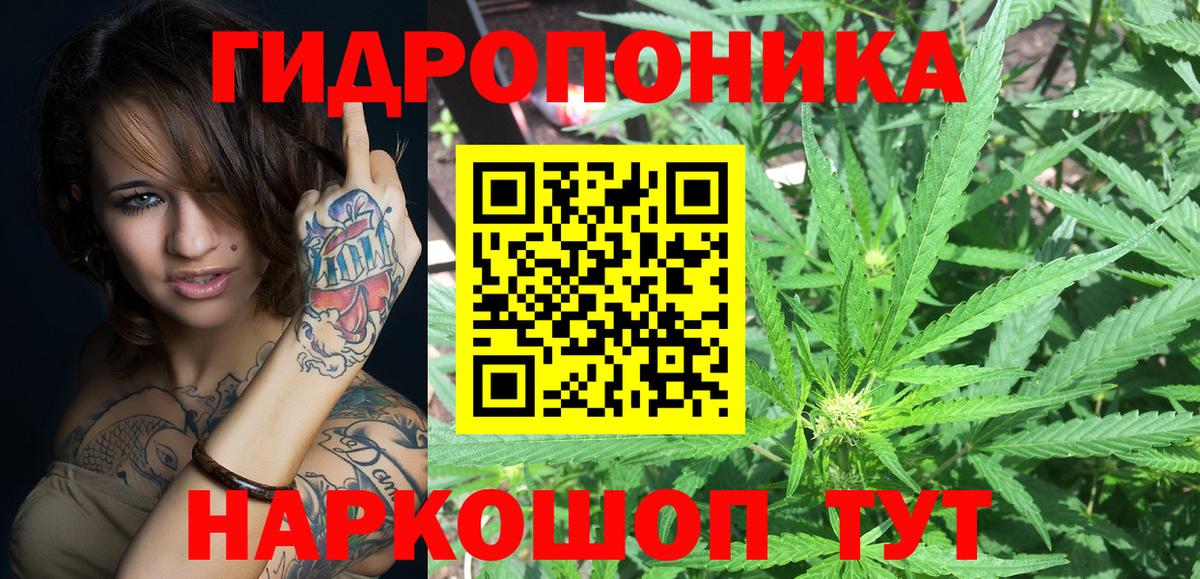 Бошки Шишки Bruce Banner Россошь